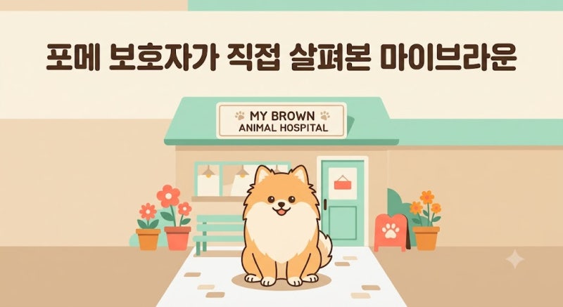 반려견 보험, 마이브라운 들어보셨나요? 저 역시 눈이 가는 이유.. 직접 살펴봤습니다