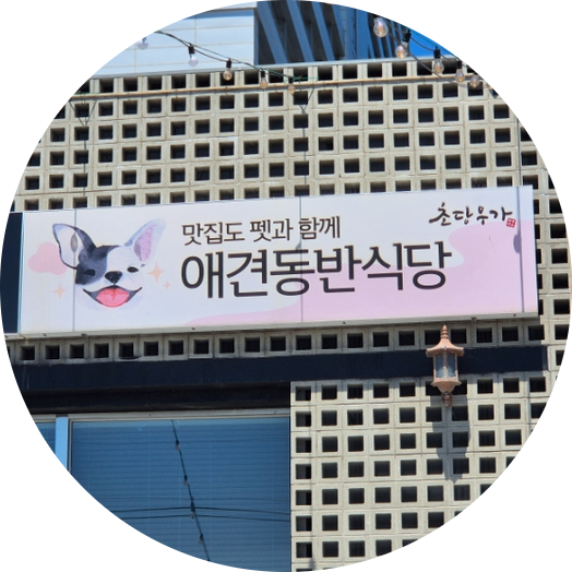 우가 사진 4