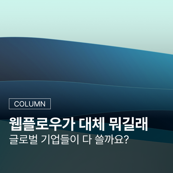 웹플로우가 대체 뭐길래 글로벌 기업들이 다 쓸까요? 뜻부터 가격, 국내에서 쓸 때 현실까지 ....