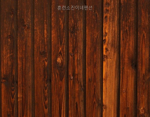 진이네펜션 사진 5