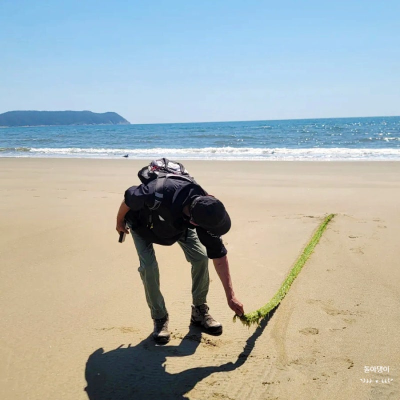 인천 섬 여행 대청도 농여해변 1박 2일 힐링 로드맵