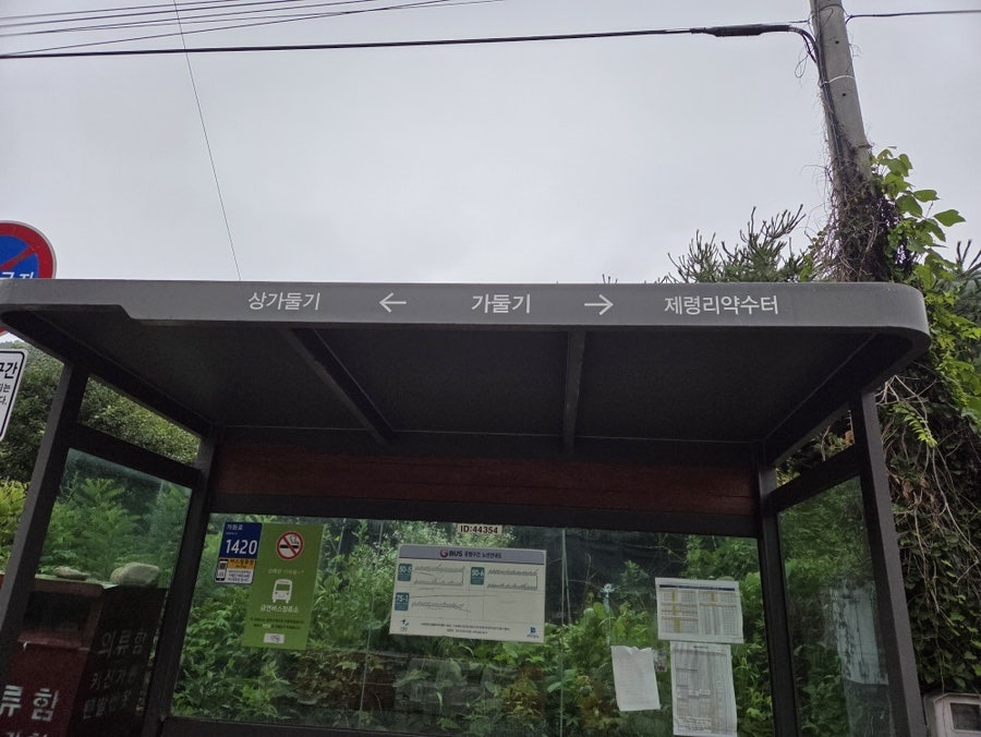 아침풍경 사진 5