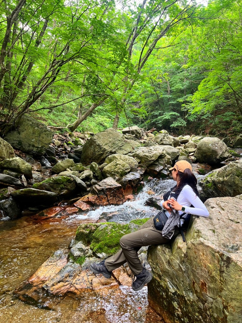 가평 유명산 계곡 등산 코스 | 유명산자연휴양림 -등산로-정상-계곡로 ⛰️