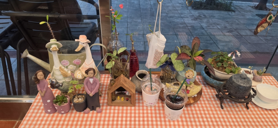 정원담 사진 5