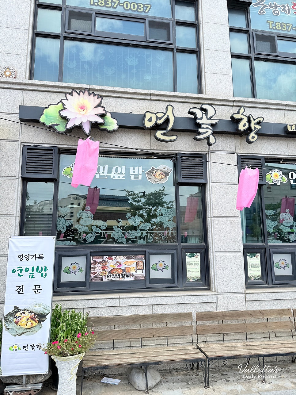 연꽃향 사진 2