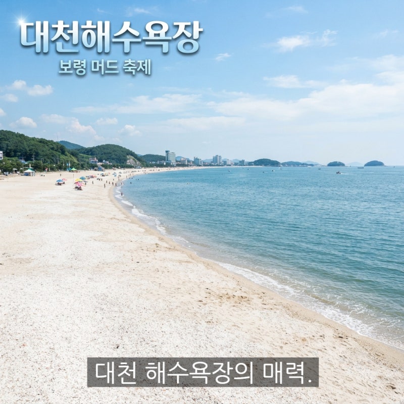 대천해수욕장 개장일과 주차장 이용 총정리