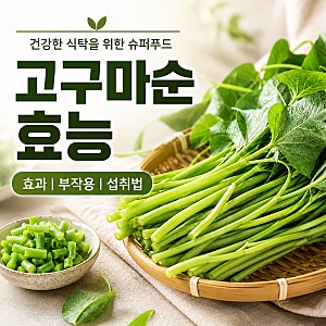 고구마순 효능 효과 하루 권장 섭취량 부작용