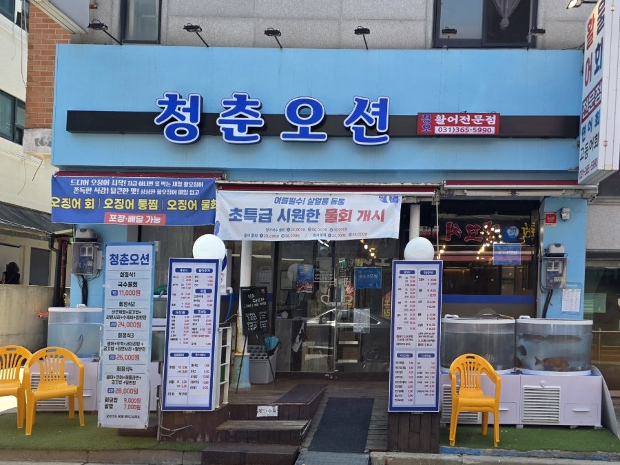 청춘오션 사진 1