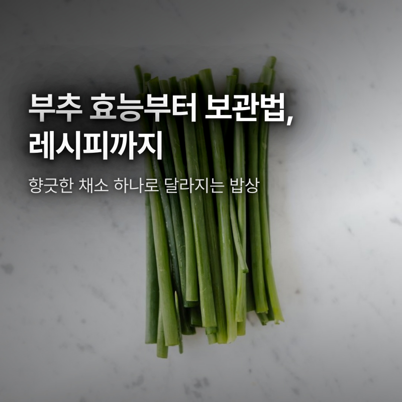 부추 효능, 보관법, 레시피까지 - 향긋한 채소 하나로 달라지는 밥상