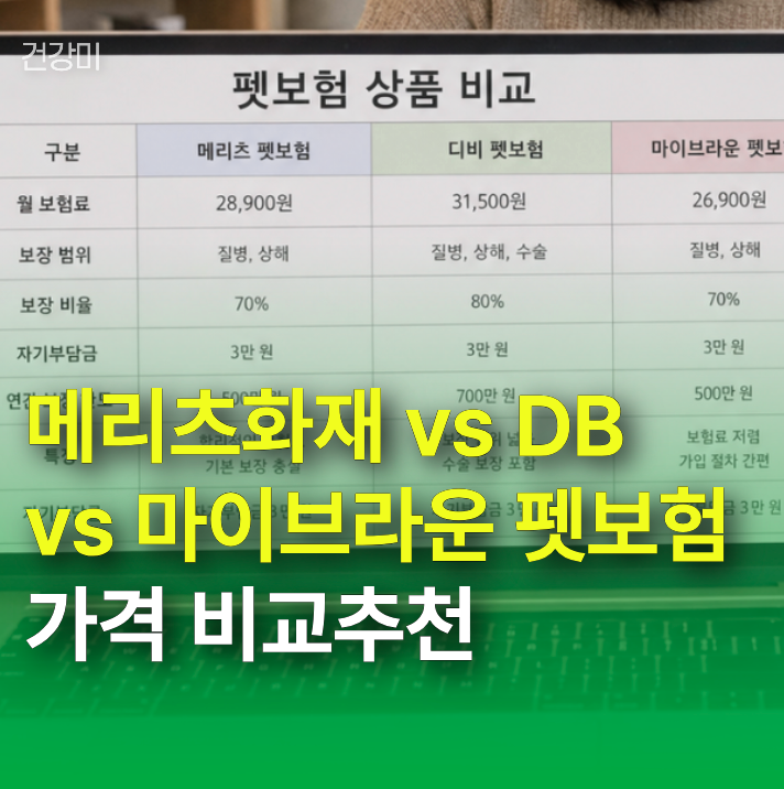 메리츠화재 vs DB vs 마이브라운 펫보험 가격 비교추천, 할인·환급 기준 총정리