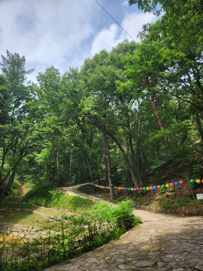26.7.4. 경주소금강산. 선도산