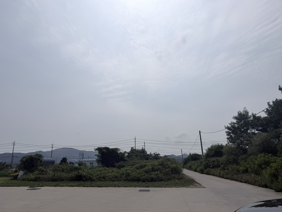 블랙펄커피 사진 4