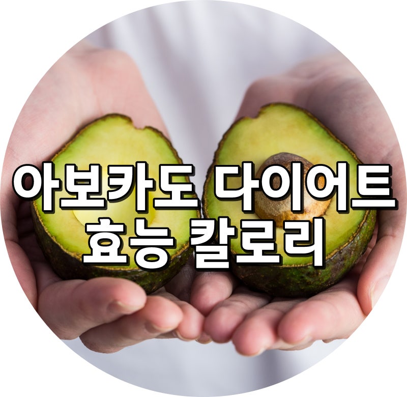 아보카도 효능 5가지와 칼로리! 다이어트 부작용 없이 먹는법 총정리