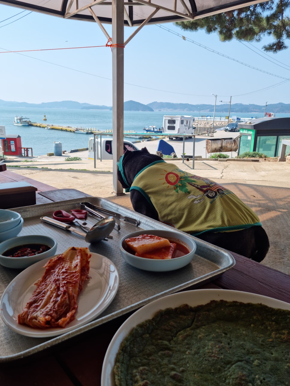 선창감태칼국수 사진 5