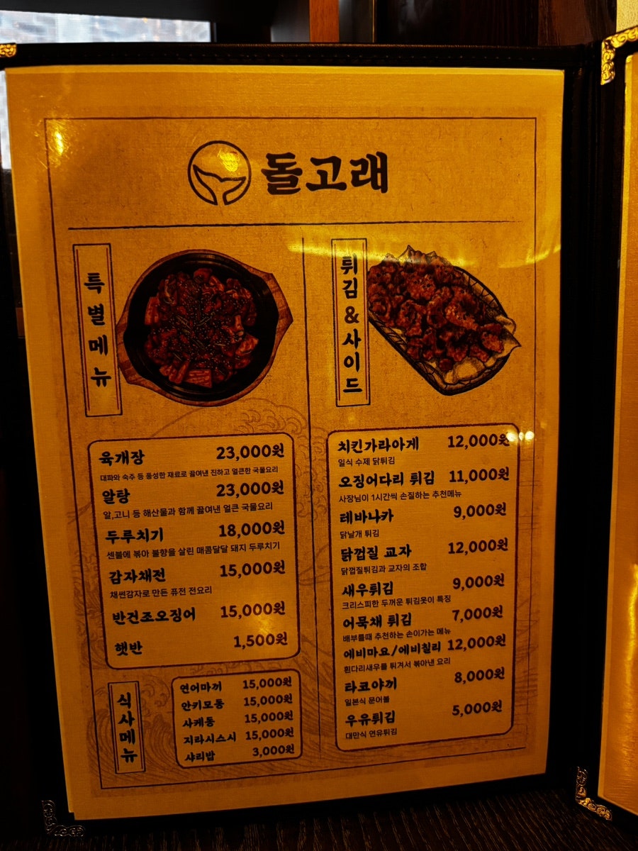 돌고래 사진 3