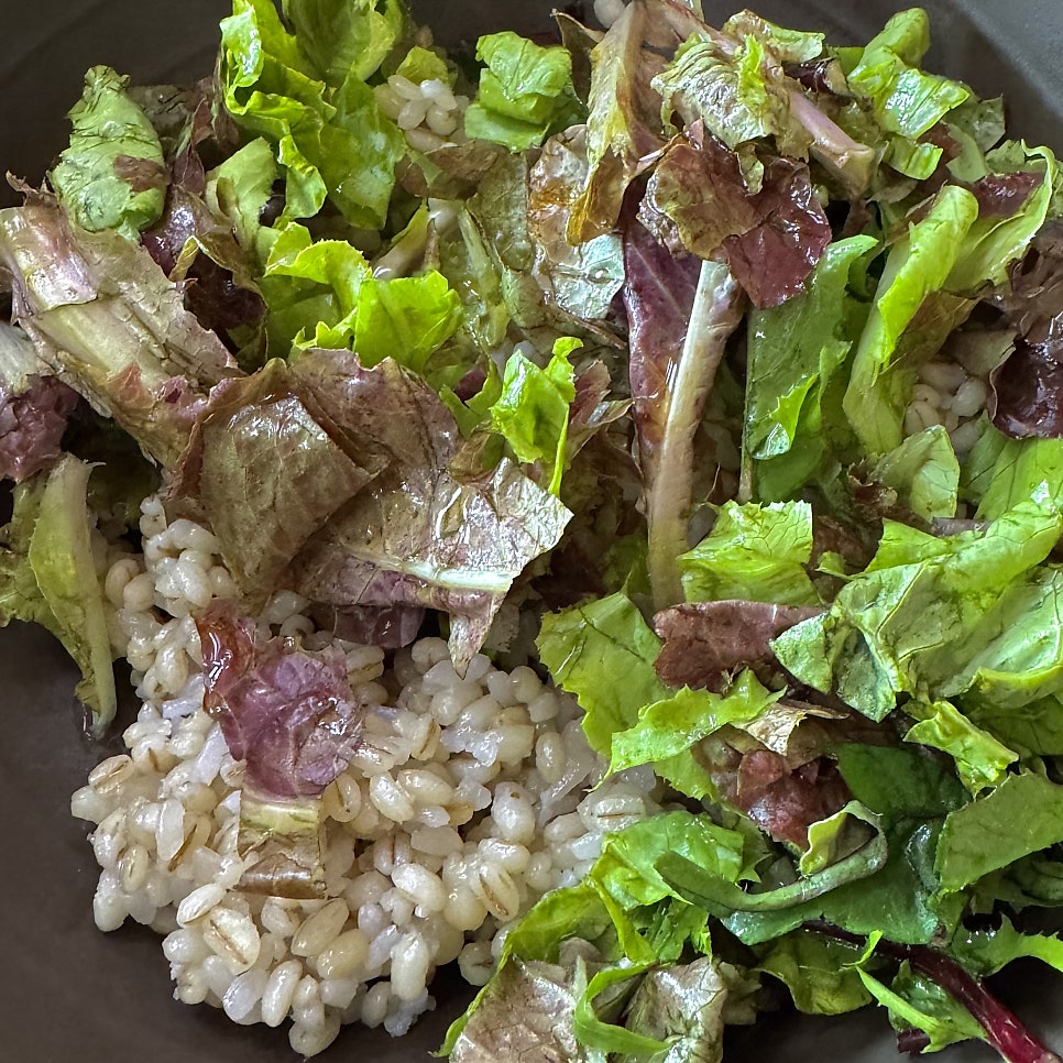 물레방아 사진 3