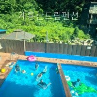 계룡산드림펜션 사진 2