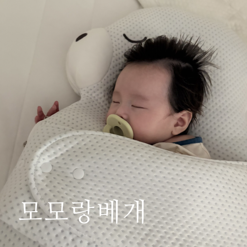 이몽 모모랑 베개, 라라스 옆잠베개 비교 둘째맘 후기