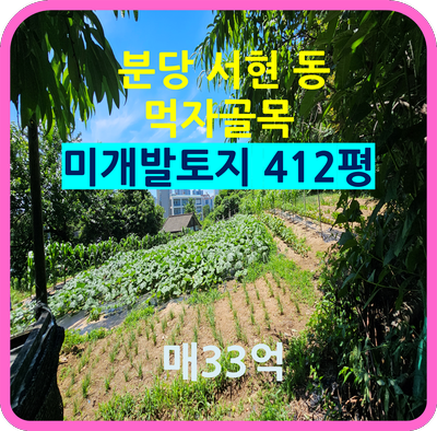서현동먹자골목 사진 1