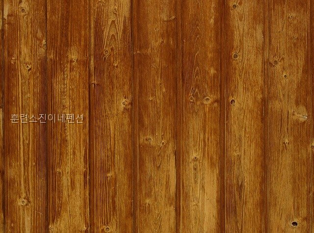 진이네펜션 사진 3