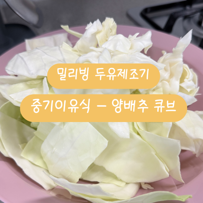 밀리빙 두유제조기 중기 이유식 레시피 | 양배추 큐브