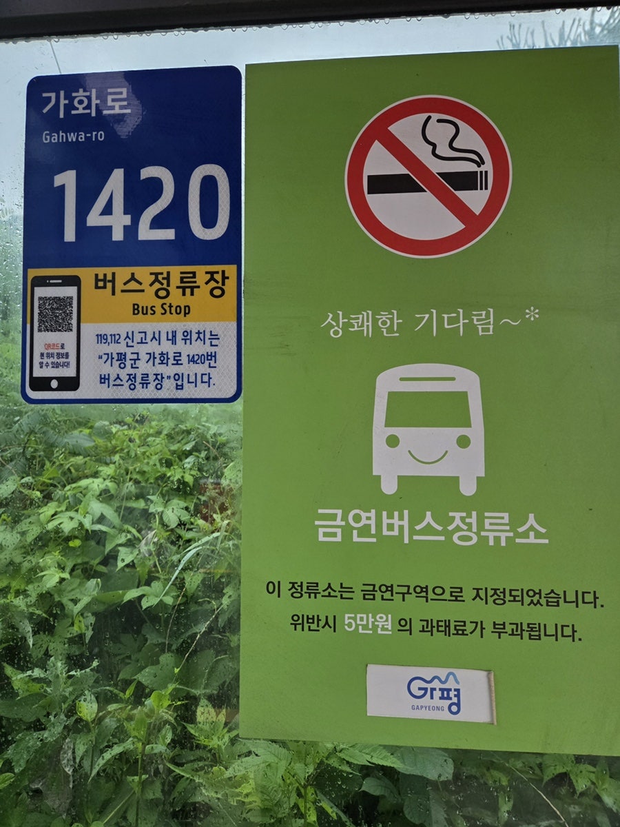 아침풍경 사진 3
