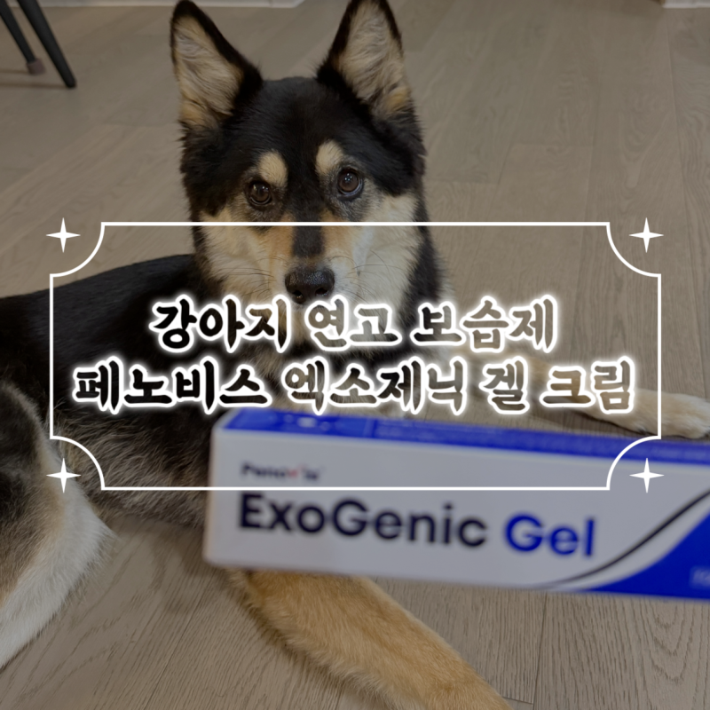 강아지 발사탕 연고 아토피 보습제 사용후기 엑소제닉겔크림