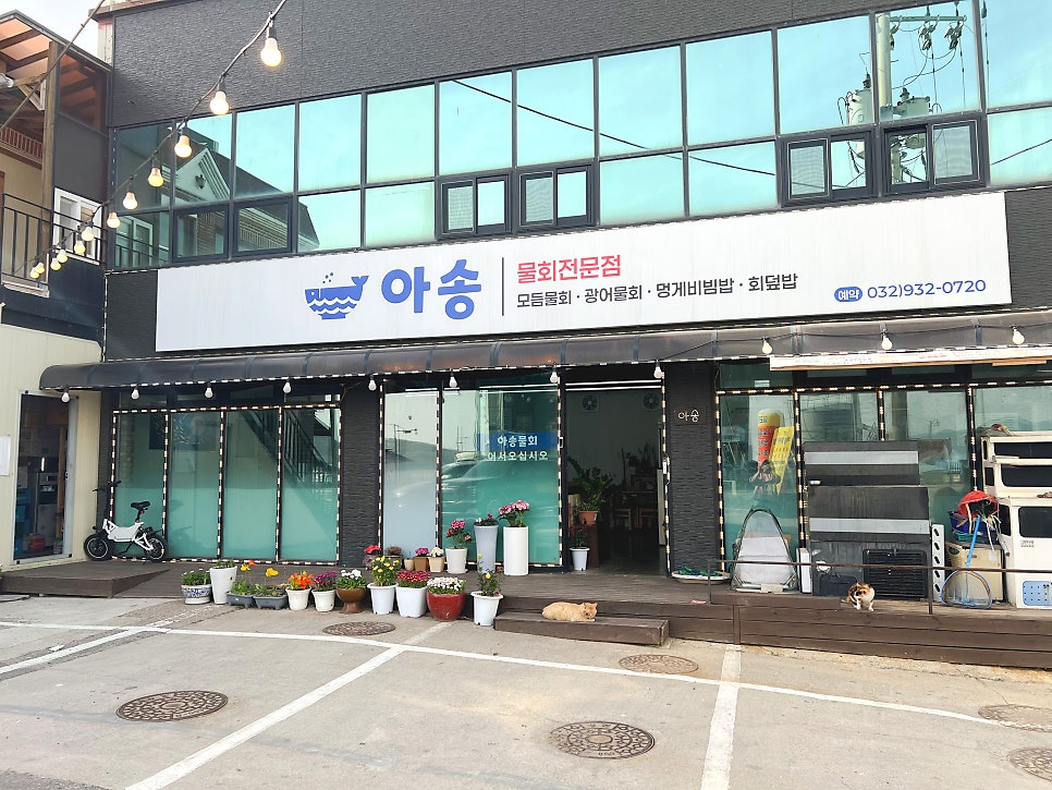 외포항물회 사진 2