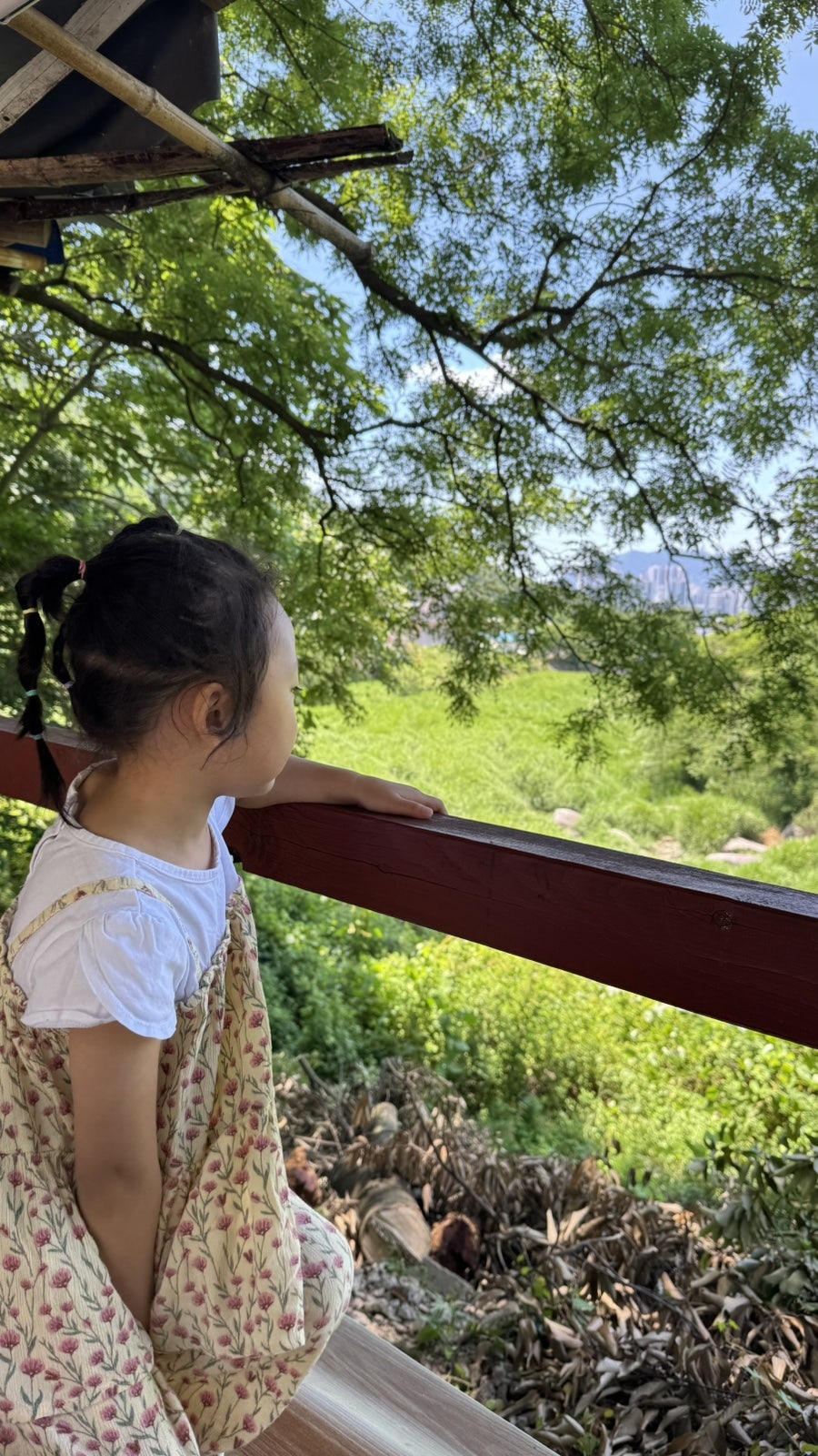 바우산장 사진 3