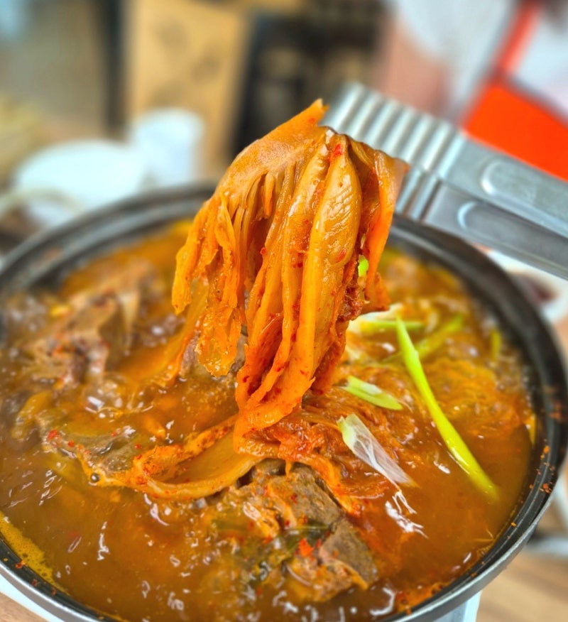 양양 현지인 맛집 추천! 양양해장국 끝판왕, 일호묵은지감자탕 후기