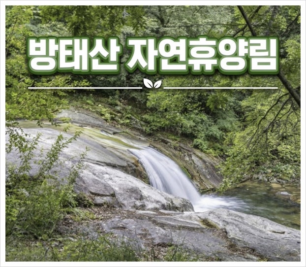 방태산자연휴양림 캐빈 계곡 데크 숙박 예약 방법