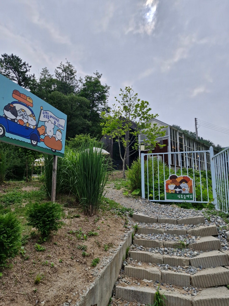 밀봄숲 사진 5