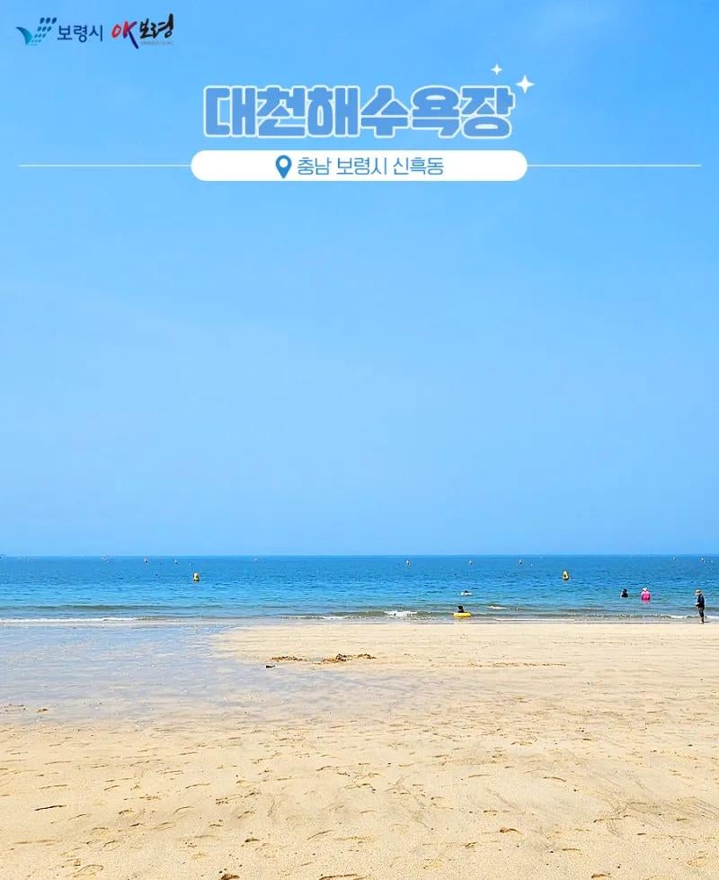 # 2026 대천해수욕장 개장일 총정리｜운영기간·입욕시간·주차·보령머드축제까지