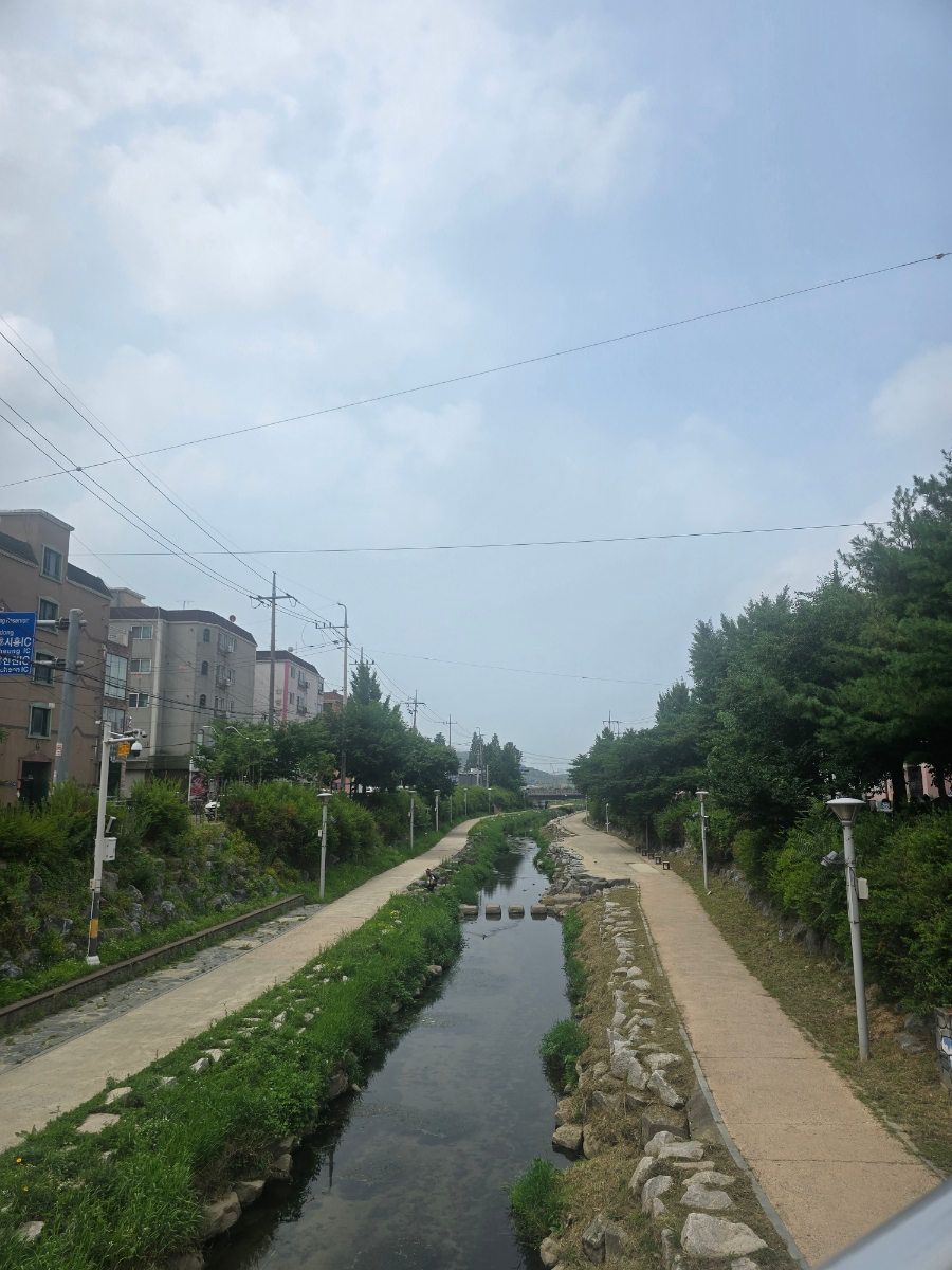 미스김카페 사진 1