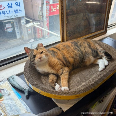 부산 대신동 카페 코노셔, 단골들이 마들렌을 포장해 가는 이유