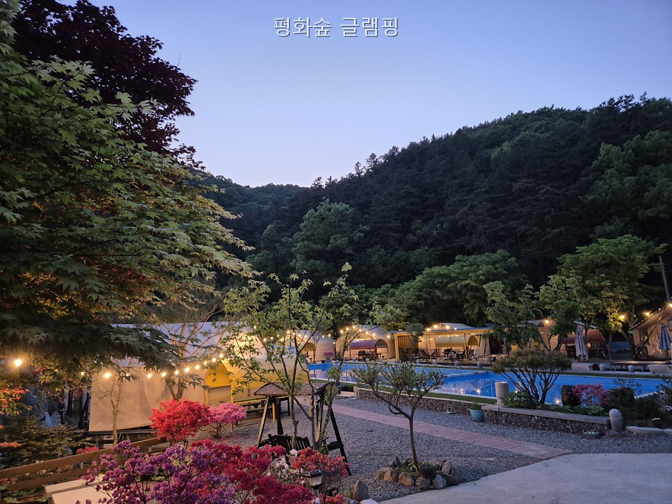 평화숲글램핑 사진 3