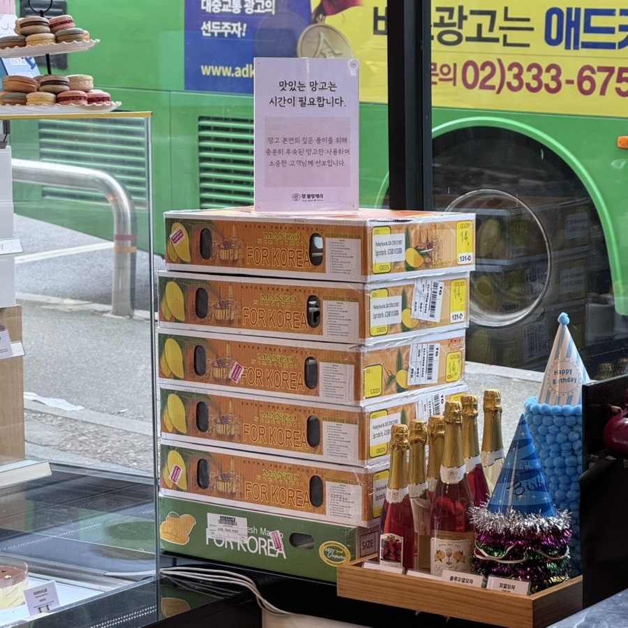 슈크림 사진 4