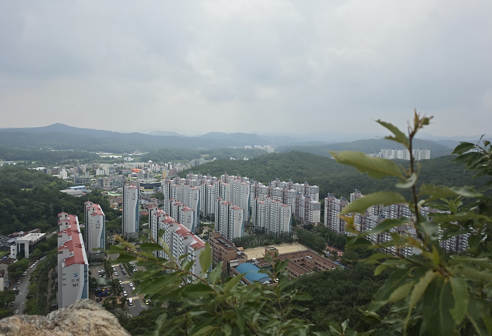 천마산 사진 6