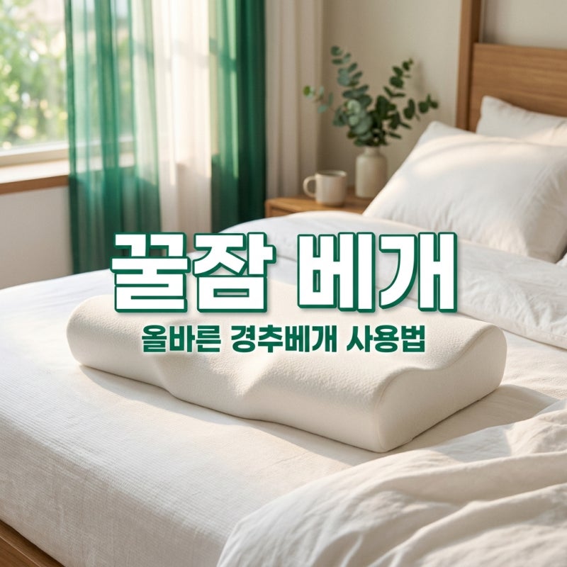 경추베개사용법 올바른 위치와 높이로 목 통증 해결하기