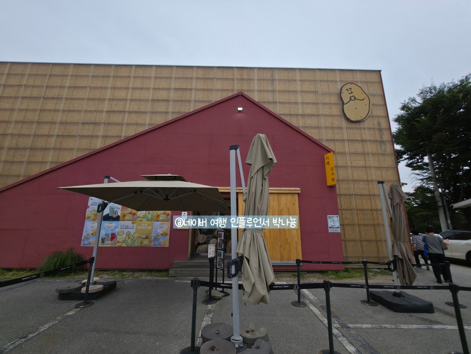 카페감자밭 본점 사진 2