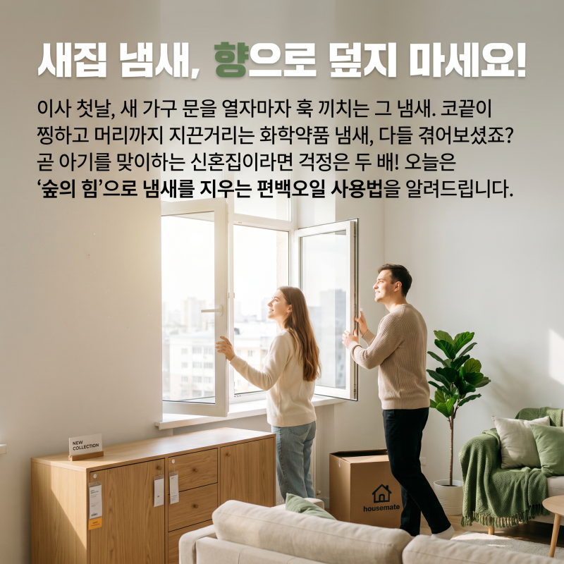 새집 냄새, 편백오일로 안전하게 줄이는 법
