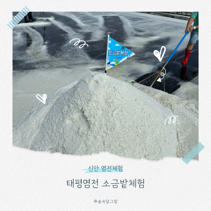 신안 가볼만한곳 | 태평염전 체험(feat.소금아이스크림, 함초차)