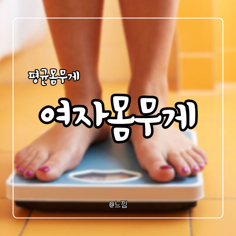 여자 평균 몸무게 표준 키별 몸무게는?