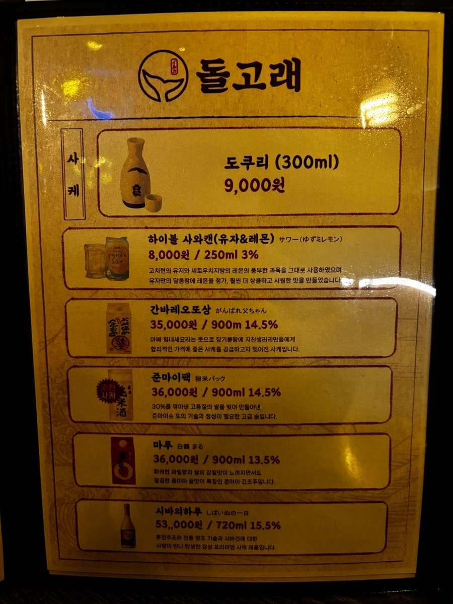 돌고래 사진 5
