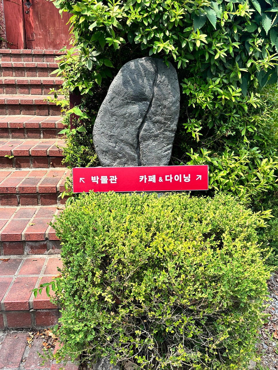 코스타리카 사진 5