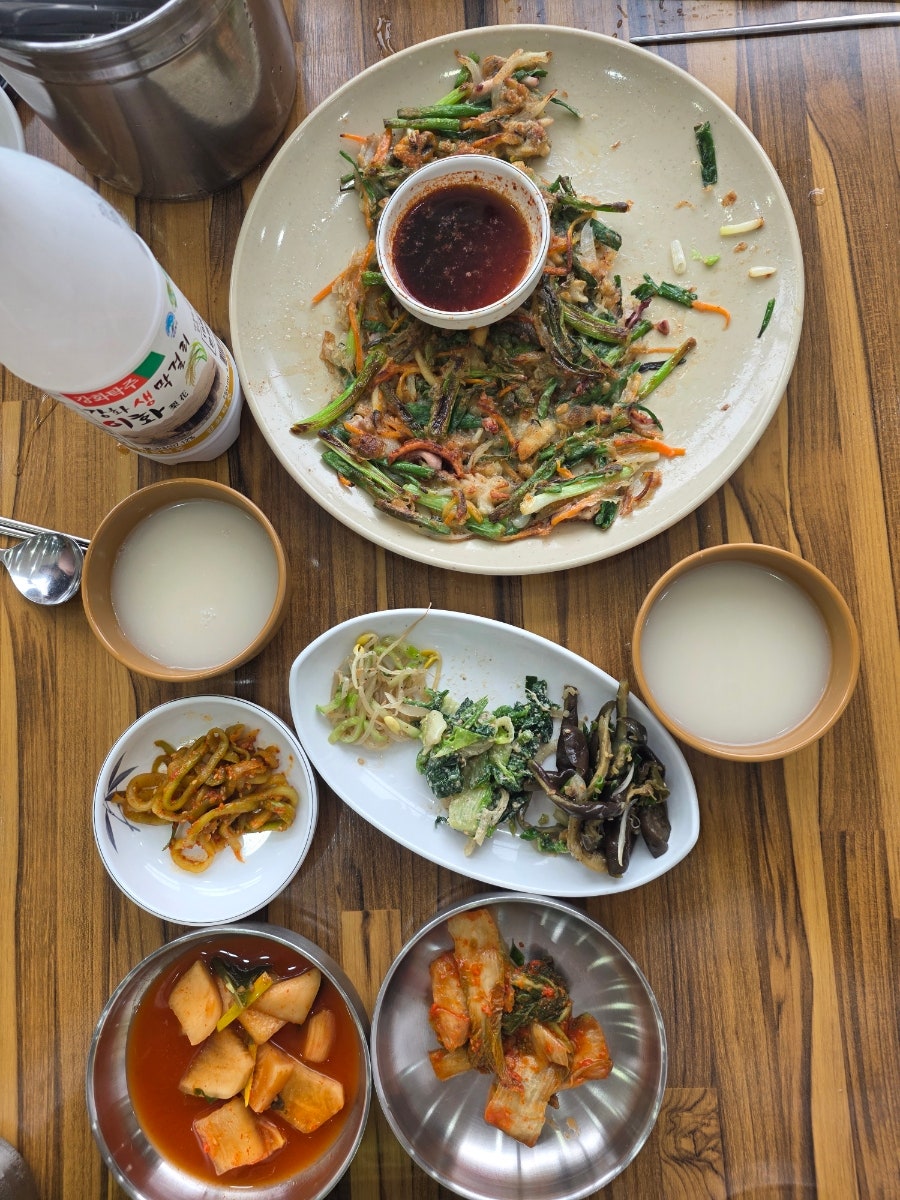 느릅나무 사진 1