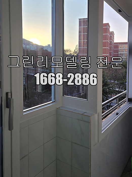 산호 사진 2