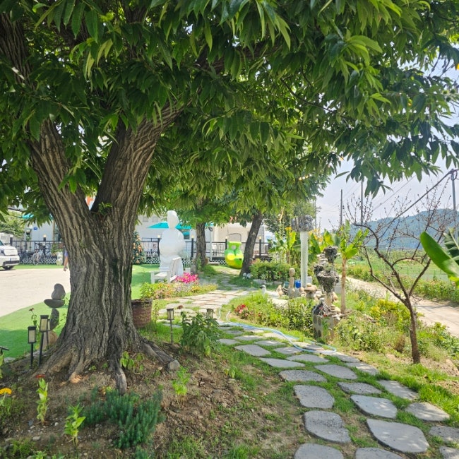 카페레이크249 사진 4