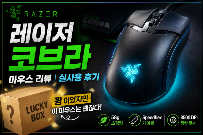 레이저 코브라(Cobra) 마우스 리뷰 | 레이저 럭키박스 개봉기