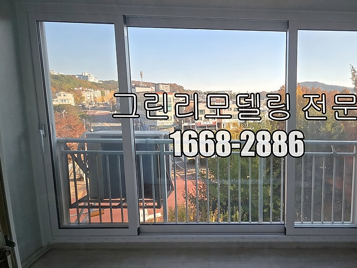 산호 사진 4
